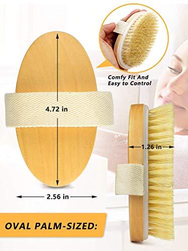 Dry Brush, With Soft And Stiff Natural Bristles, Body Exfoliating Scrub  Brush 