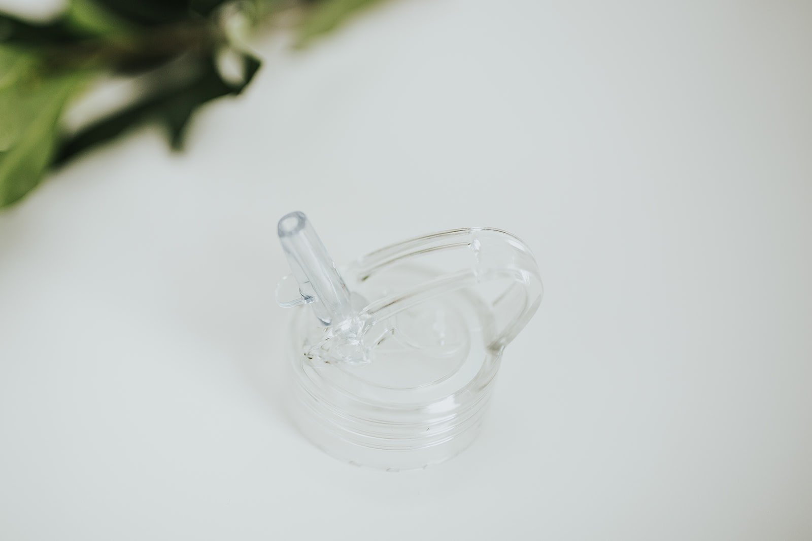 Clear folding straw lid on white background with green foliage in top left corner - lifewithPandJ